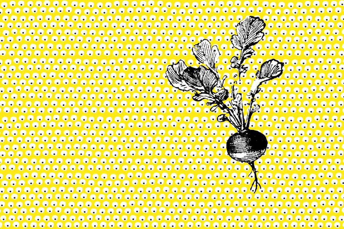 Le Jardin de Tournesol - image 1