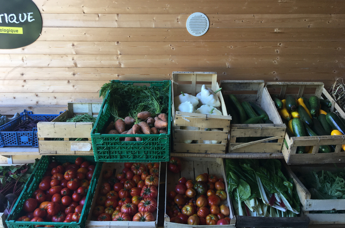 Le Jardin de Tournesol - image 2