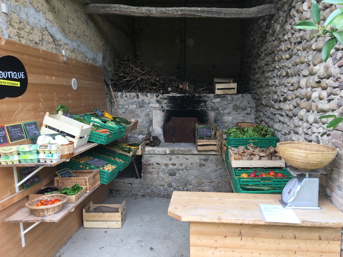 Le Jardin de Tournesol - image 3