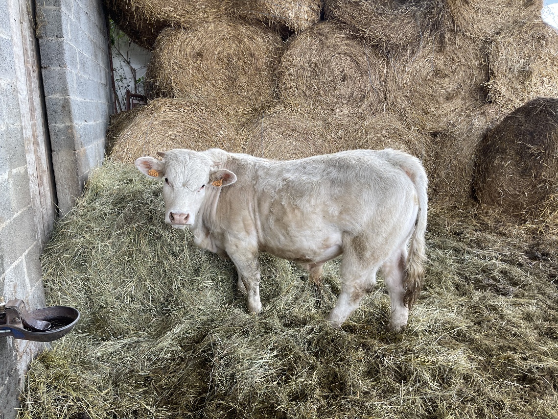 La Ferme des Granges Dijon - image 2