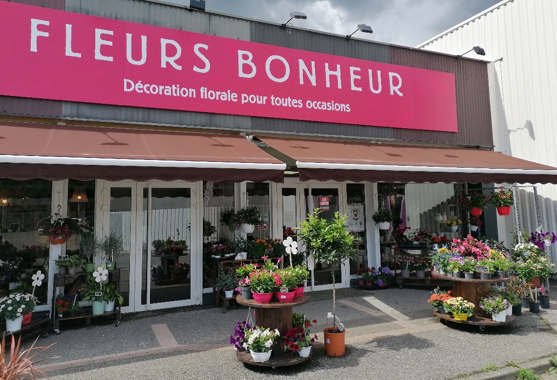 FLEURS BONHEUR - image 1