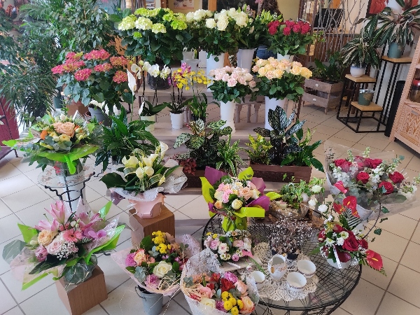 Le Jardin des Roses - image 1