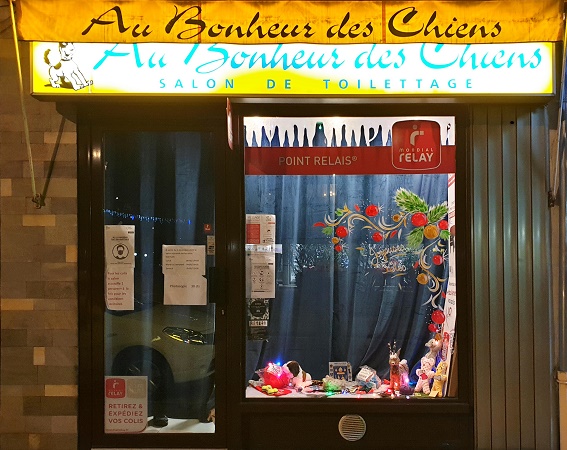 Au bonheur des chiens - image 1