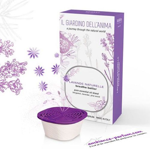 Recharge pour diffuseurs Mr.George