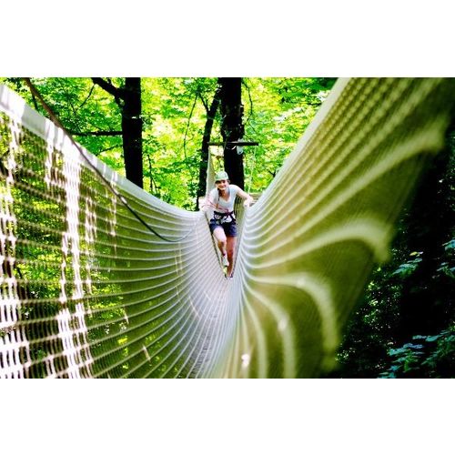 Accrobranches Juniors/Etudiants