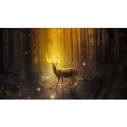 Jeu d'exploration familial : Manast&eacute;rium