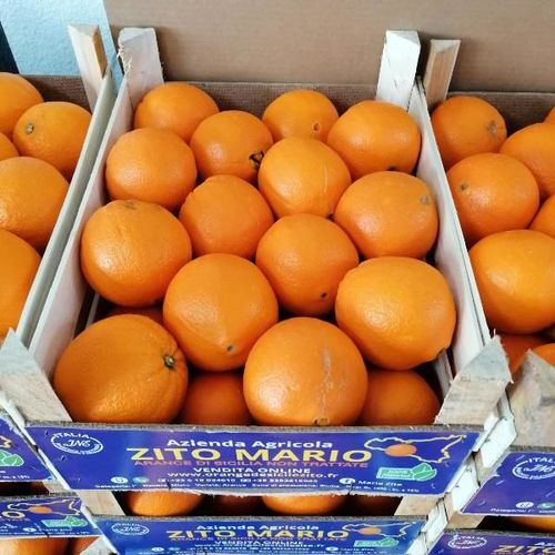 Oranges Navel de Sicile - Gros calibre - 10kg