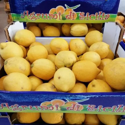 Citrons de Sicile, non trait&eacute;s - 6kg