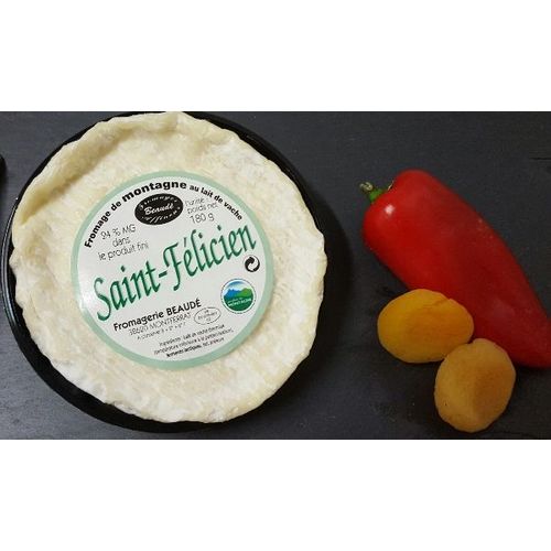 Saint f&eacute;licien