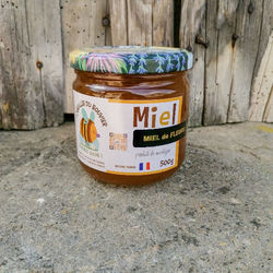 Miel de fleurs de Printemps - 500g