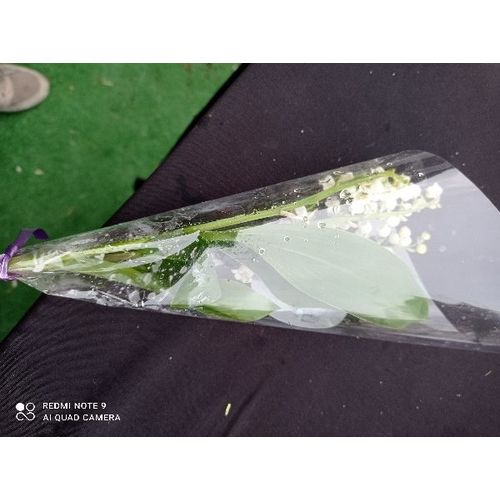 Muguet
