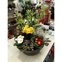 Coupe de plantes multicolore