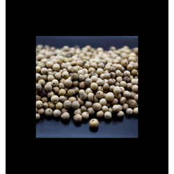 Poivre blanc Sarawak - 10 gr