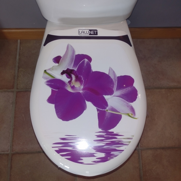 LALUNET' ORCHIDEE - image 4