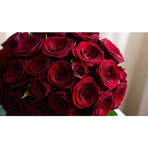 Bouquet de roses rouges
