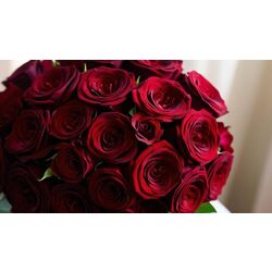 Bouquet de roses rouges