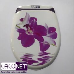 LALUNET' ORCHIDEE