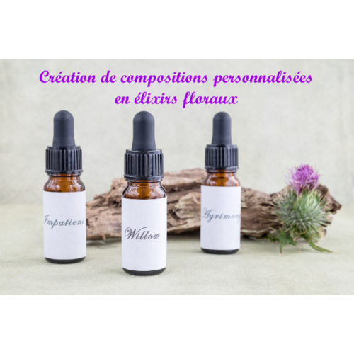 Conseil en &eacute;lixirs floraux pour gestion &eacute;motionnelle