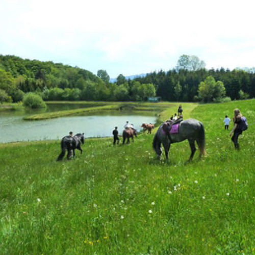 Balades et Bapt&ecirc;mes &agrave; Cheval