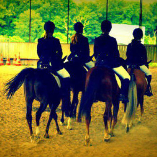 Ecole d'&eacute;quitation