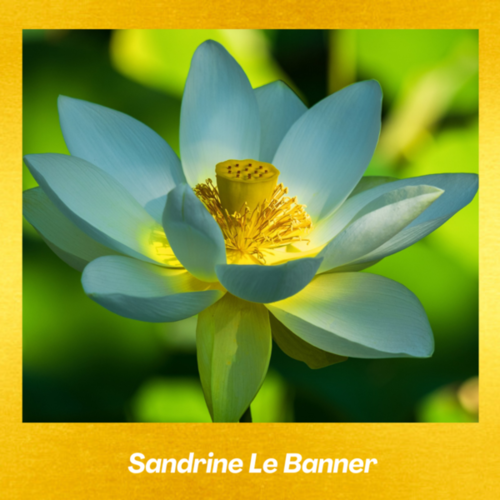 Accompagnement pour femme "8 Jours"