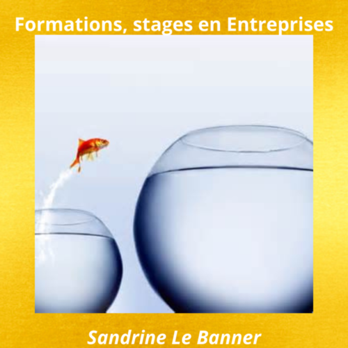 Formations, stages, cours en entreprises